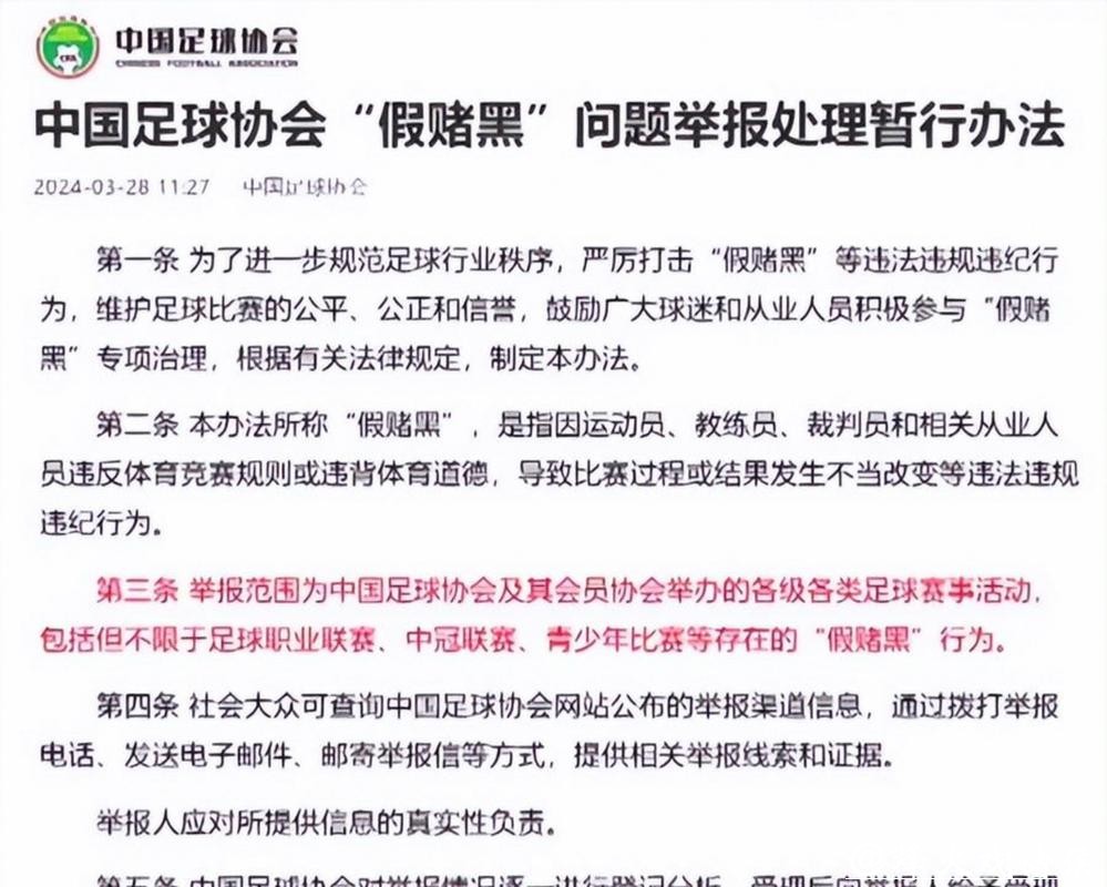 足球行业“假赌黑”问题专项整治行动发布,上海申花和海港俱乐部新赛季被罚分 足球行业“假赌黑”问题专项整治行动发布,上海申花和海港俱乐部新赛季被罚分